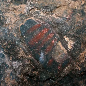 Olsens Cave, Santa Cruz Island