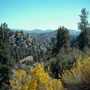 Lockwood Valley, Ventura County
