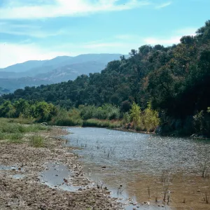 Santa Ynez River from Paradise Road