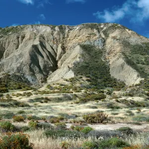 Slopes behind navfac, North Shore, San Nicolas Island