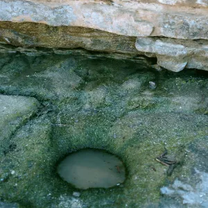 Aboriginal water source, West end of Red Eye Beach, San Nicolas Island