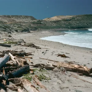 Red Eye Beach, San Nicholas Island