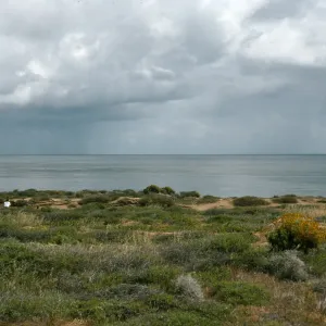 Rainstorm, Northeast flats, San Nicholas Island