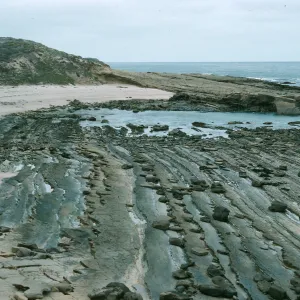 Lowtide, Corral Harbor, San Nicholas Island