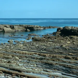 Corral Harbor, San Nicholas Island