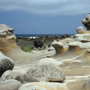 Coastline, Near Rock Crusher, San Nicolas Island