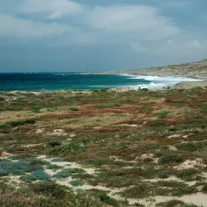East of Dutch Harbor, San Nicolas Island