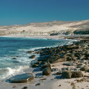 Red Eye Beach, San Nicolas Island
