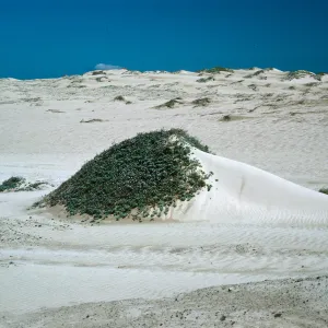 Dunes, West end, San Nicolas Island