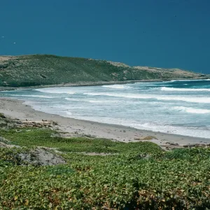 Red Eye Beach, San Nicolas Island