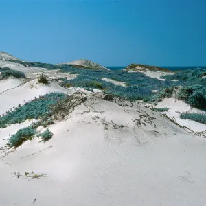 Near Corral Harbor, San Nicolas Island