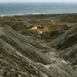Cattail Canyon, San Nicolas Island