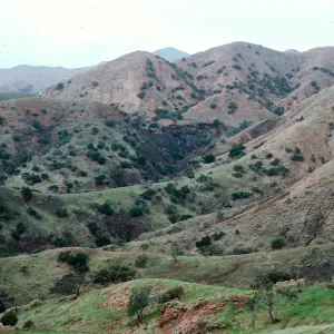 sheep-damaged hillsides, looking North-West from upper canyon, across Central Valley, from West end of Bosque Mano, Santa Cruz Island