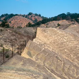 sheep damage, upper Laguna - upper Sauces Road, Santa Cruz Island