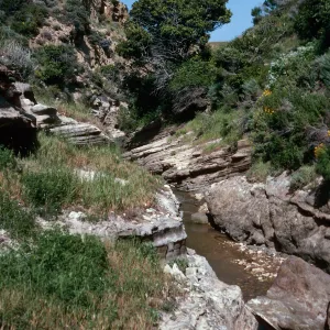 Water Canyon, Santa Rosa Island