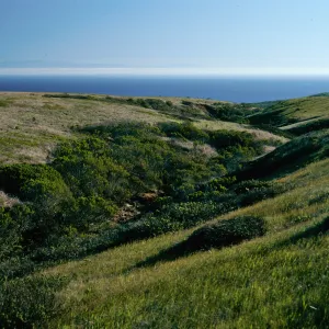Willow Canyon, from Cardwell Point Trail, San Miguel Island