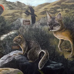 mural at airport, Santa Catalina Island