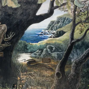 mural at airport, Santa Catalina Island