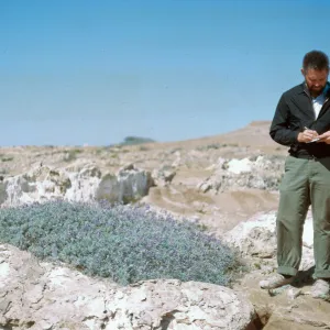 2/ Lupinus (Lupine), Dr. E. C. Evans III, 65-90 & SN-7