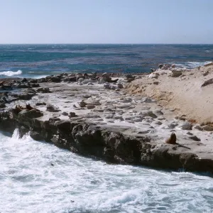 3/ Sea Lions on wave cut bench - Sea Lion Beach, 65-108 & SN-25