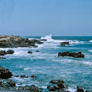 3/ waves striking coast, South of Sea Lion Beach, 65-143 & SN-60