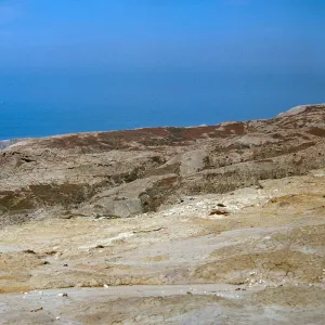 Mesembryanthemum stand on Southwest face of island, 65-212 & SN-129