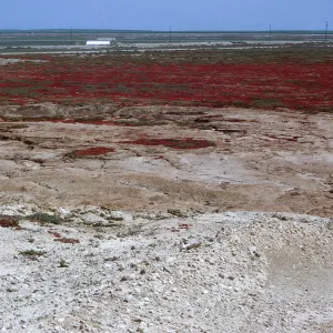 24/ looking North-Northeast from cactus stand, Mesembryanthem stand on mesa, over airfield, 65-216 & SN-133