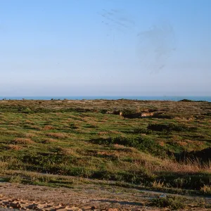San Nicolas Island, 65-258 & SN-175