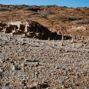 San Nicolas Island, 65-325 & SN-242