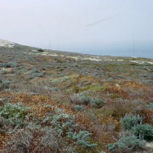 looking North at Site 1, 66-11 & SN-267