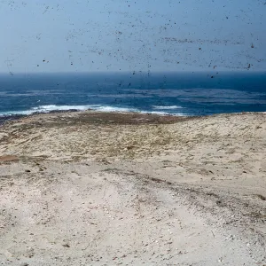 looking North from bunker at Site 4, 66-20 & SN-276