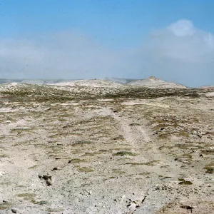 Site 4, North end of island, 66-22 & SN-278