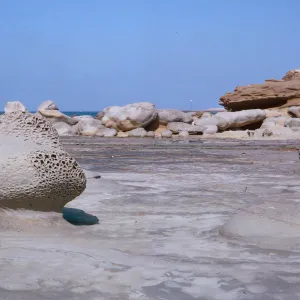 pedestal at carrier reef, 66-29 & SN-205