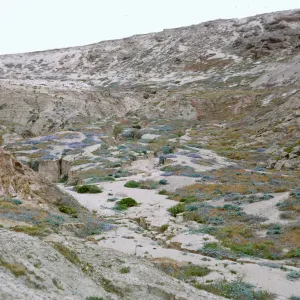 Northwest escarpment from road, up from Seal Beach, 66-69 & SN-325