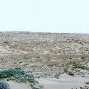 North end of island - sand covered, 66-71 & SN-327