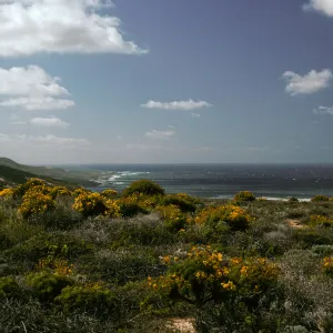 North Shore, From water project tanks, Northwest of Airfield, San Nicolas Island