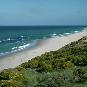 Northeast shore, San Nicolas Island