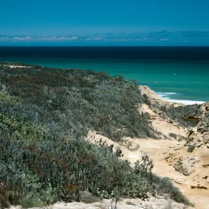 North Coastal Flats, Near Rock Jetty, San Nicolas Island