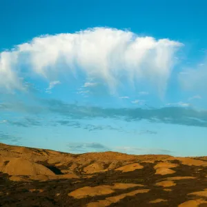 Looking east, Theodolite Road, San Nicolas Island