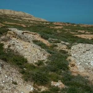 Southeast end, East of Barge Landing, San Nicolas Island
