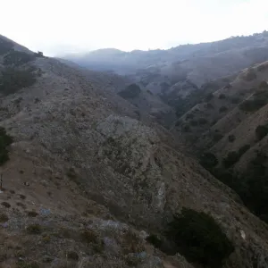 Berberis location & helocopter landing site, Hazard Canyon, Santa Cruz Island