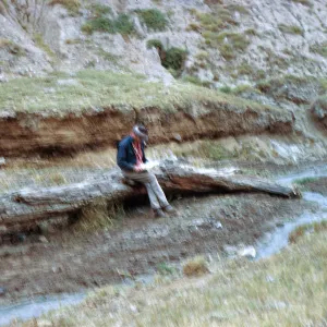 Fossil log, Cliff Smith, Las Sauces, Santa Cruz Island