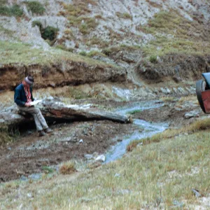 Fossil log, Cliff Smith, Las Sauces, Santa Cruz Island