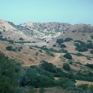 Echo Lake, East of Black Jack Mountain, Santa Catalina Island