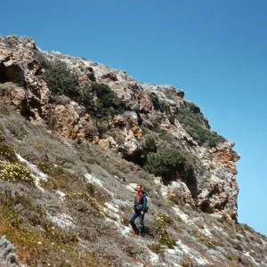 Clif Smith with agate & rhus north of Caldwell Point, San Miguel Island