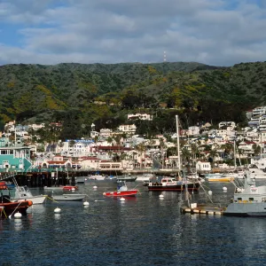 Avalon, Santa Catalina Island