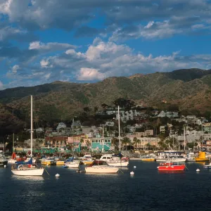 Avalon, Santa Catalina Island