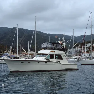 Avalon Harbor, Santa Catalina Island