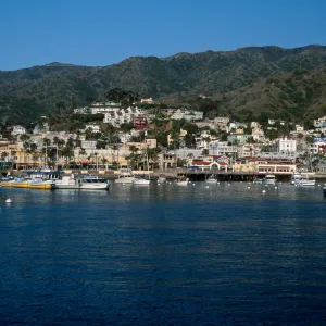 Avalon Harbor, Santa Catalina Island
