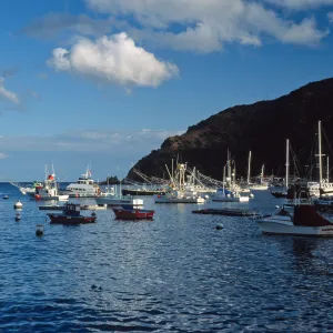 Avalon Harbor, Santa Catalina Island